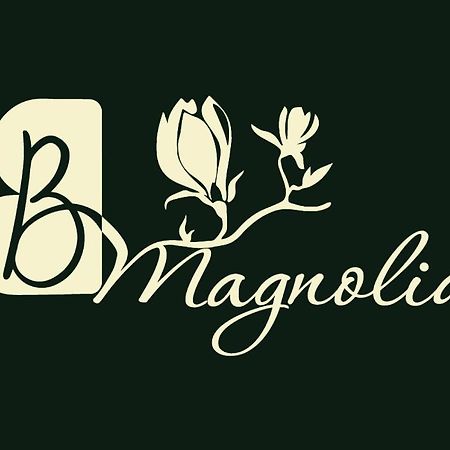 Casa Magnolia, Tranquilla E Centrale Appartement Nichelino Buitenkant foto