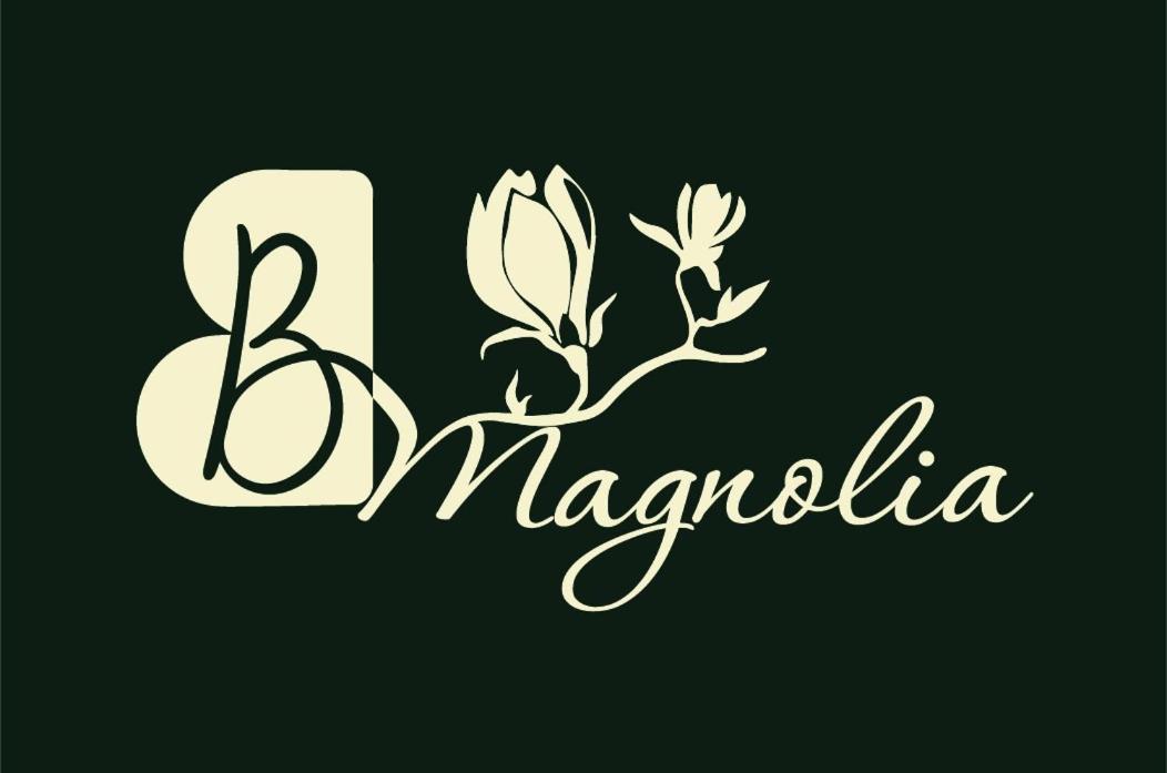 Casa Magnolia, Tranquilla E Centrale Appartement Nichelino Buitenkant foto